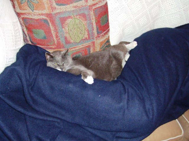 c0062603_6175991.jpg