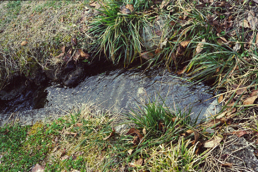 e0129805_15433949.jpg