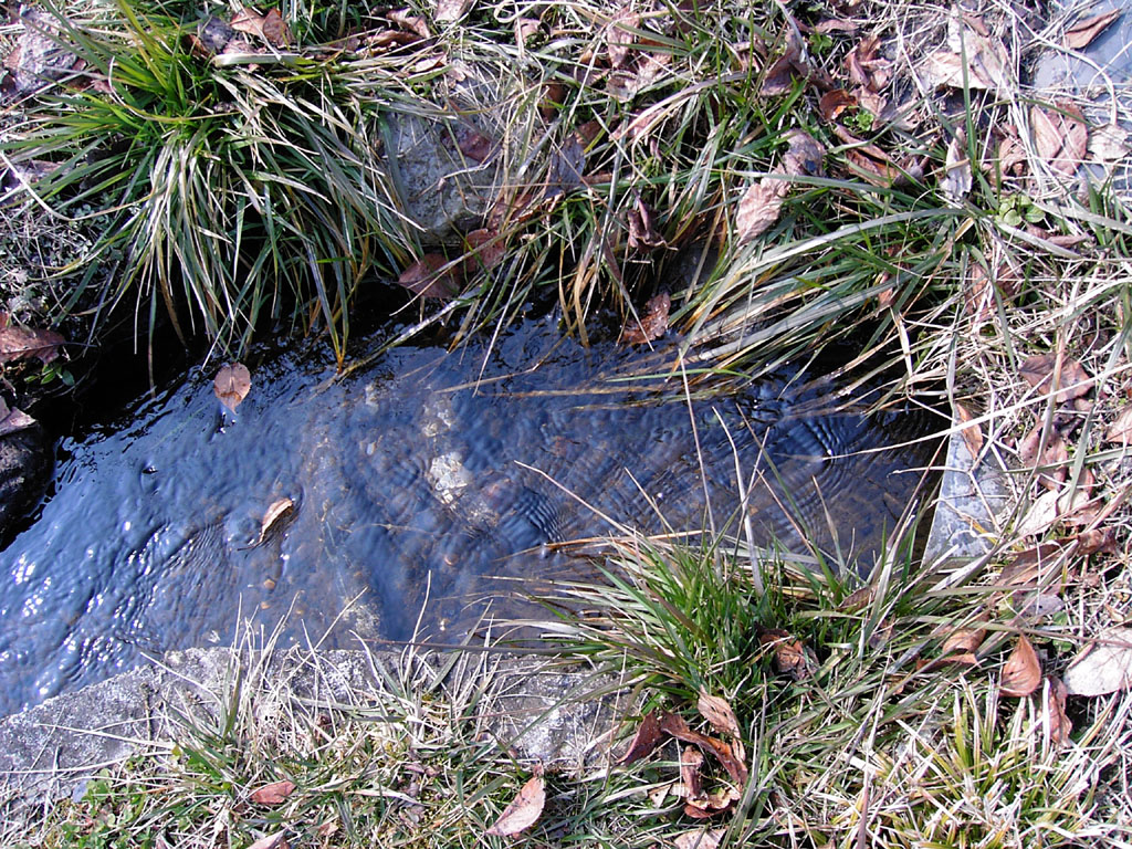 e0129805_15461634.jpg