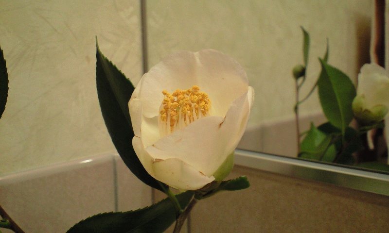 d0000607_0314779.jpg