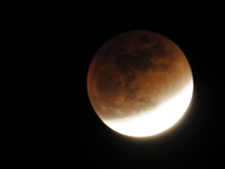f0115921_562136.jpg