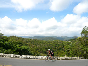 d0023725_100095.jpg