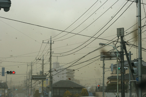 e0071225_23254317.jpg