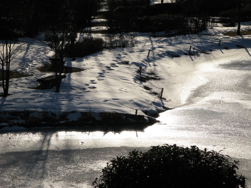 f0017530_20564065.jpg