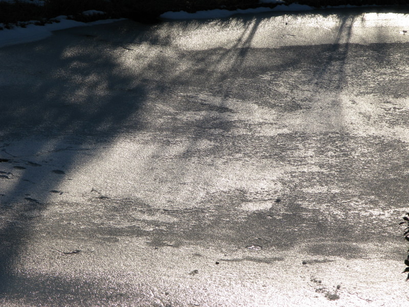 f0017530_2057017.jpg