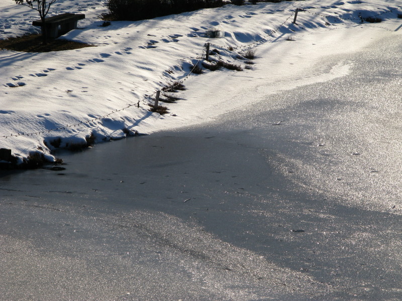 f0017530_20571978.jpg