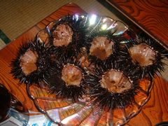 b0042334_13354521.jpg