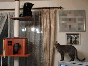 c0136736_21402397.gif