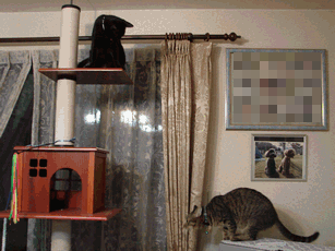 c0136736_2141149.gif