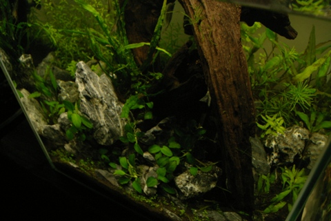c0087937_20342076.jpg