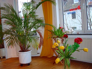 c0153740_5561418.jpg