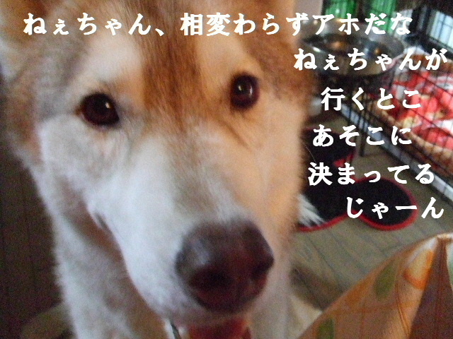 e0121548_204756100.jpg