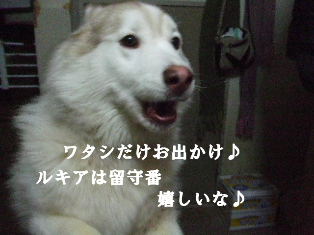 e0121548_20521247.jpg