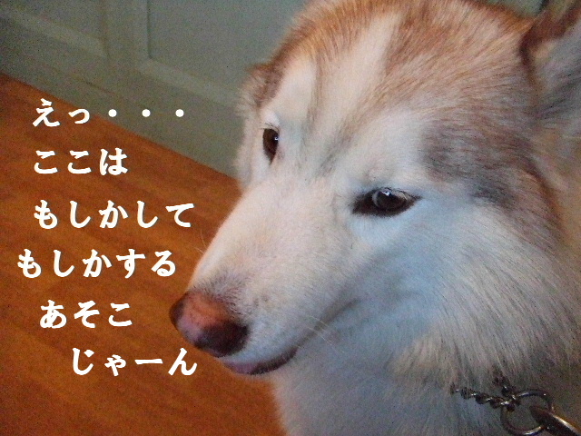 e0121548_2101255.jpg