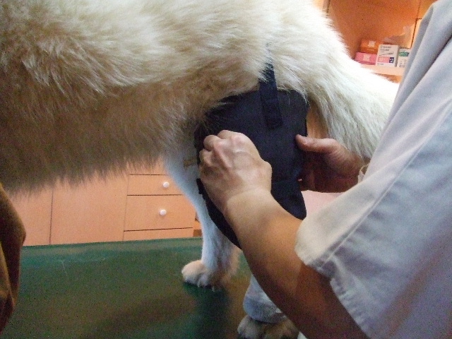 e0121548_2124919.jpg