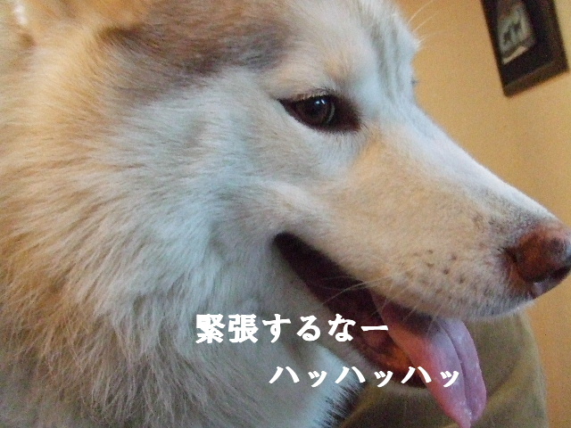 e0121548_21313228.jpg