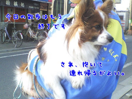 d0013149_748243.jpg