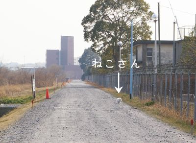 e0019550_18251754.jpg