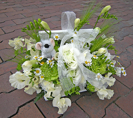 a0001354_20315087.jpg