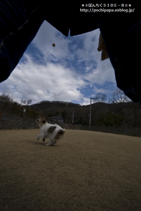 c0123759_18392387.jpg
