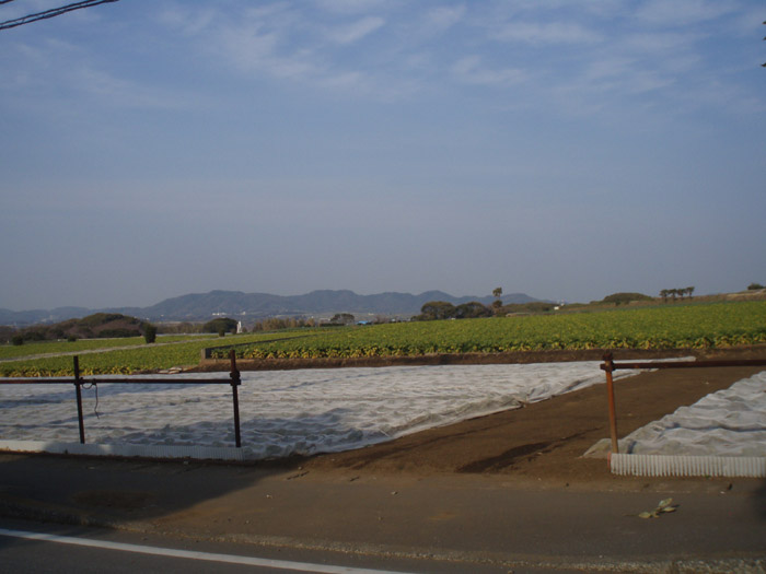 c0110361_1345228.jpg