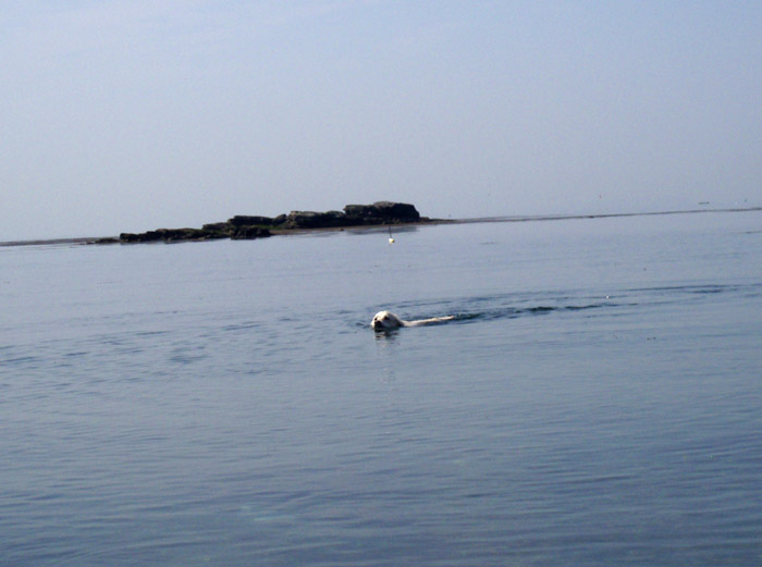 c0110361_13524660.jpg
