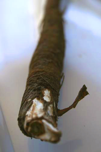 c0125464_2092114.jpg