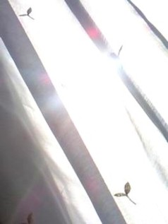 e0053365_11122649.jpg