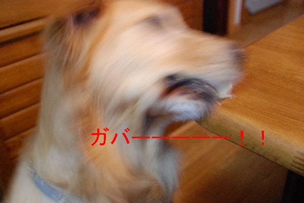 e0020166_13452710.jpg
