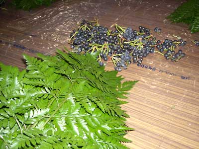e0097770_21565652.jpg
