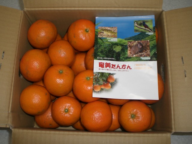 f0153475_18292154.jpg