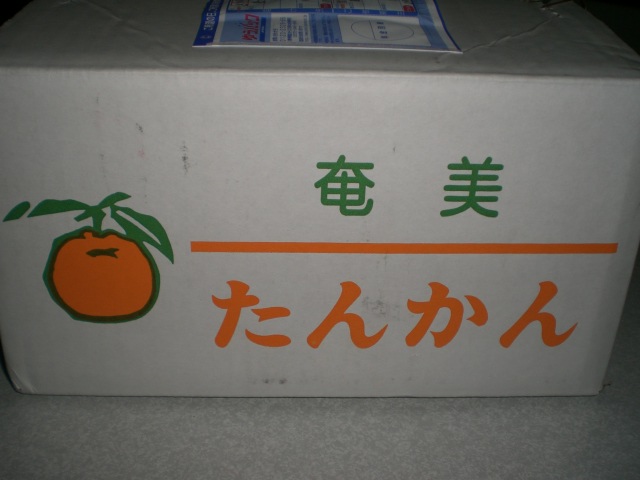 f0153475_1829295.jpg
