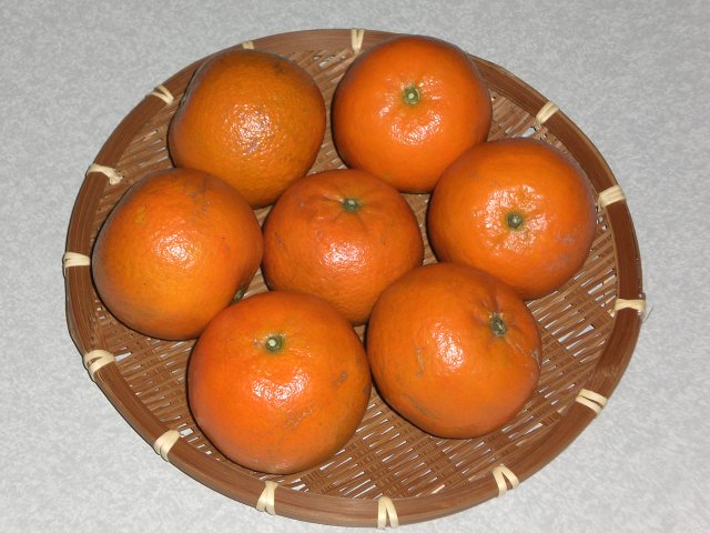f0153475_18293575.jpg