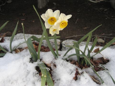 b0032079_2250472.jpg