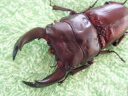 c0150582_16313830.jpg