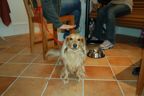 d0101385_2311799.jpg