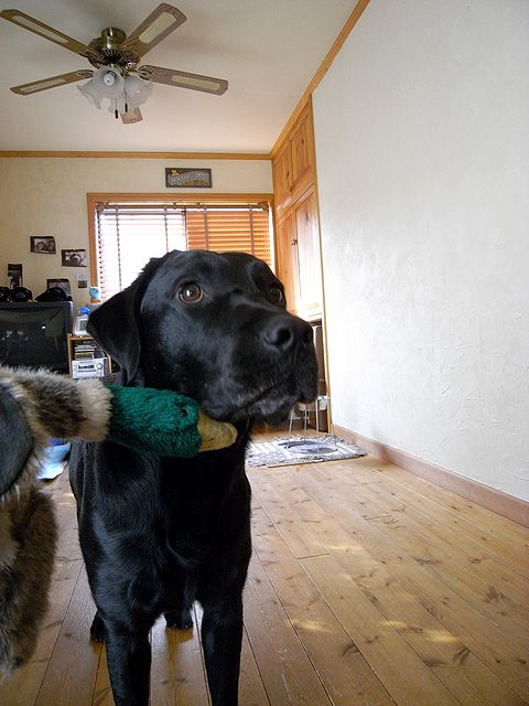 a0093592_22283037.jpg