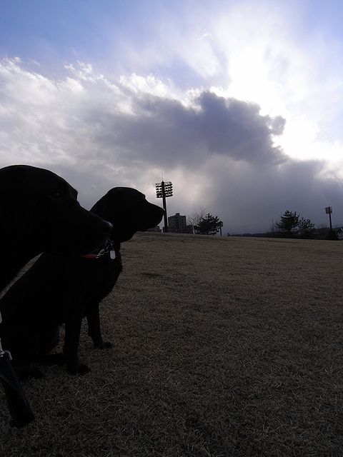 a0093592_22415174.jpg