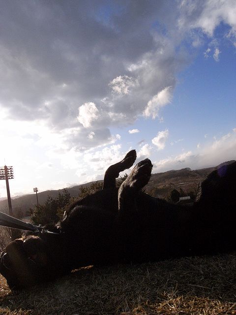 a0093592_22474474.jpg