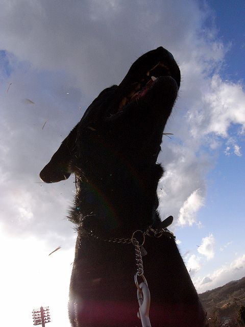 a0093592_225053100.jpg