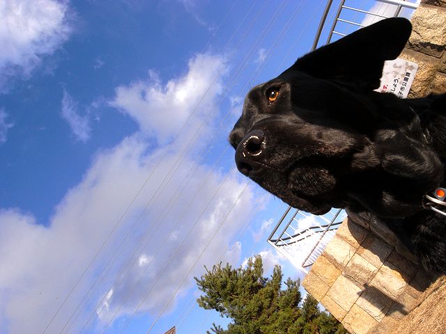 a0093592_23134212.jpg