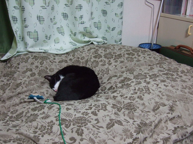 c0150193_1329096.jpg
