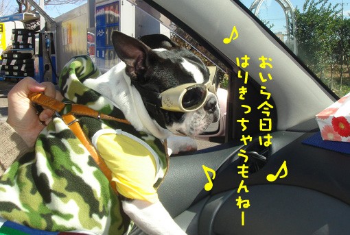 c0094999_17165318.jpg