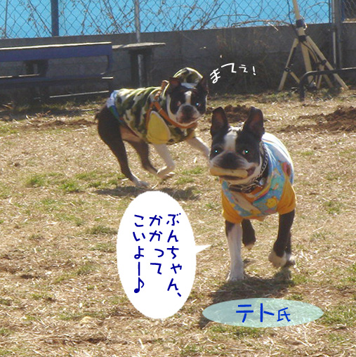 c0094999_21563483.jpg
