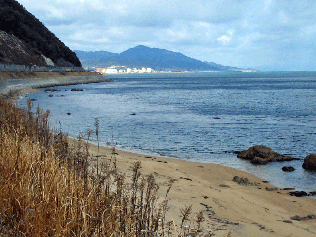 b0108100_1813279.gif