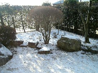 e0098908_23363953.jpg