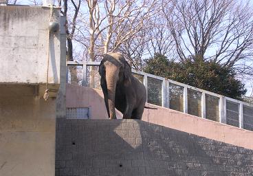 f0057509_17503017.jpg