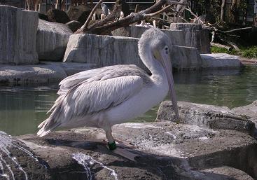 f0057509_2137516.jpg