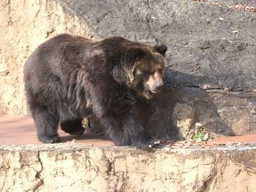 f0057509_2157225.jpg