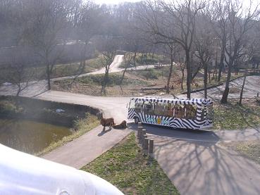 f0057509_22254312.jpg